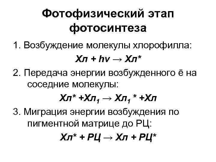 Фотофизический этап фотосинтеза 1. Возбуждение молекулы хлорофилла: Хл + hv → Хл* 2. Передача