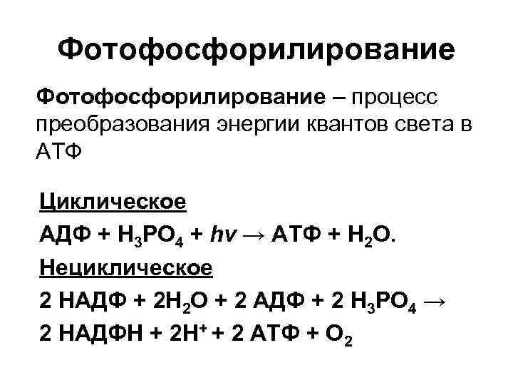 Фотофосфорилирование – процесс преобразования энергии квантов света в АТФ Циклическое АДФ + Н 3