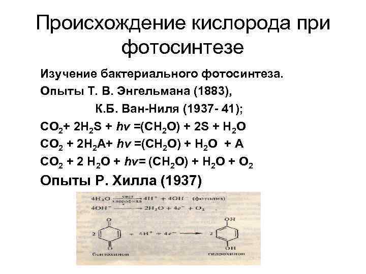 Происхождение кислорода при фотосинтезе Изучение бактериального фотосинтеза. Опыты Т. В. Энгельмана (1883), К. Б.