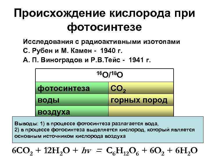 Происхождение кислорода при фотосинтезе Исследования с радиоактивными изотопами С. Рубен и М. Камен -