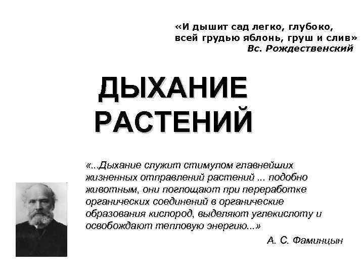  «И дышит сад легко, глубоко, всей грудью яблонь, груш и слив» Вс. Рождественский