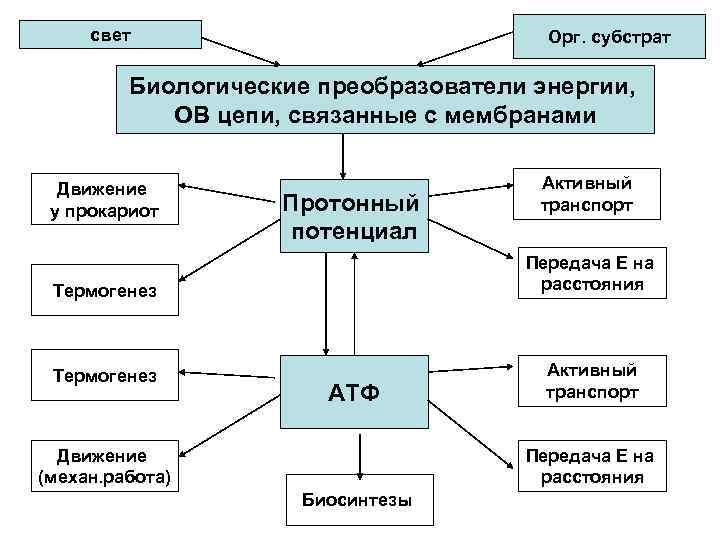 свет Орг. субстрат Биологические преобразователи энергии, ОВ цепи, связанные с мембранами Движение у прокариот