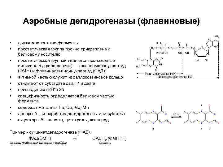 Аэробные дегидрогеназы (флавиновые) • • • двухкомпонентные ферменты простетическая группа прочно прикреплена к белковому