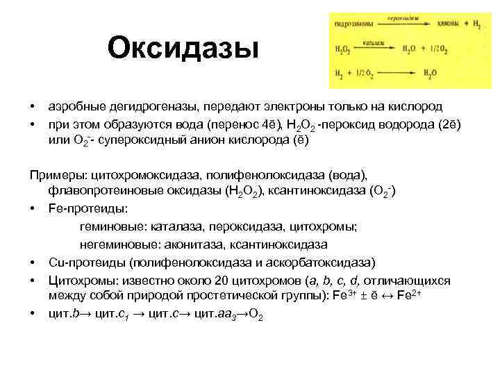 Оксидазы • • аэробные дегидрогеназы, передают электроны только на кислород при этом образуются вода