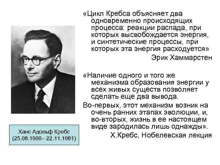  «Цикл Кребса объясняет два одновременно происходящих процесса: реакции распада, при которых высвобождается энергия,