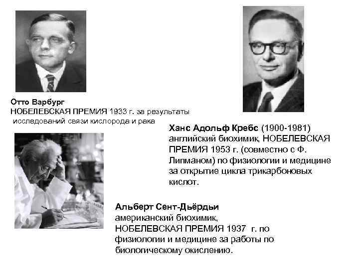 Отто Варбург НОБЕЛЕВСКАЯ ПРЕМИЯ 1933 г. за результаты исследований связи кислорода и рака Ханс