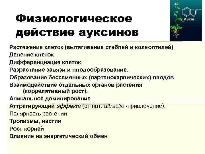 Физиологическое действие ауксинов Растяжение клеток (вытягивание стеблей и колеоптилей) Деление клеток Дифференциация клеток Разрастание