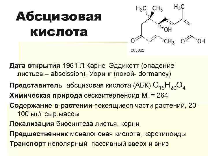 Абсцизовая кислота Дата открытия 1961 Л. Карнс, Эддикотт (опадение листьев – abscission), Уоринг (покой-