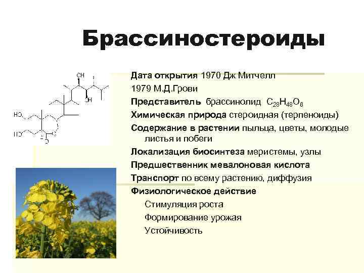 Фитогормоны растений