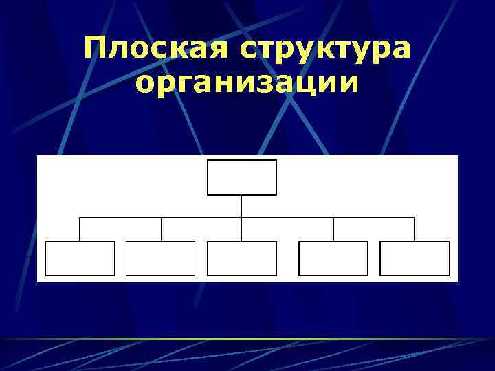 Плоская структура организации 