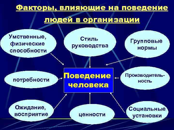 Факторы, влияющие на поведение людей в организации Умственные, физические способности потребности Ожидание, восприятие Стиль