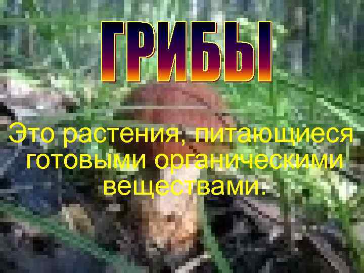 Это растения, питающиеся готовыми органическими веществами. 