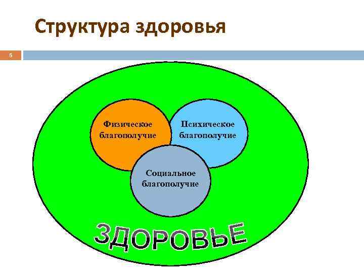 Структура здоровья 6 Физическое благополучие Психическое благополучие Социальное благополучие 