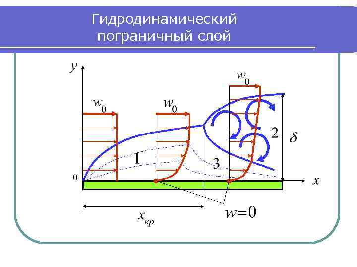 Гидродинамический пограничный слой 