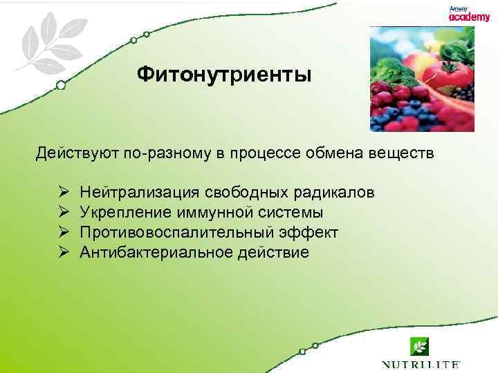 Фитонутриенты Действуют по-разному в процессе обмена веществ Ø Нейтрализация свободных радикалов Ø Укрепление иммунной