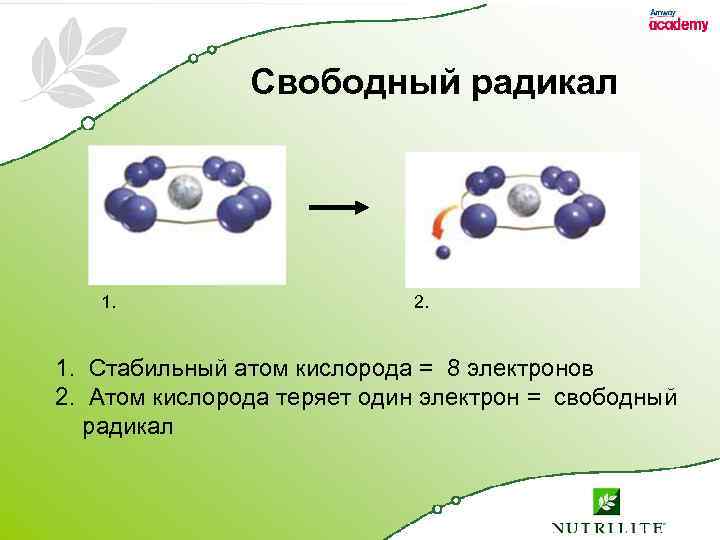 Свободный радикал 1. 2. 1. Стабильный атом кислорода = 8 электронов 2. Атом кислорода