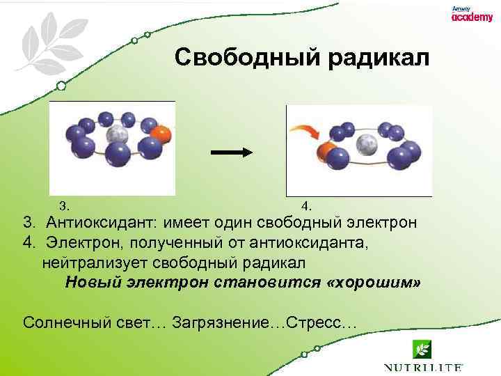 Свободный радикал 3. 4. 3. Антиоксидант: имеет один свободный электрон 4. Электрон, полученный от