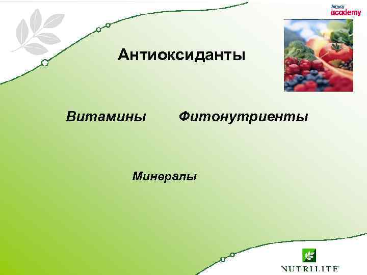 Антиоксиданты Витамины Фитонутриенты Минералы 