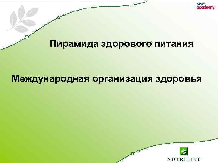 Пирамида здорового питания Международная организация здоровья 