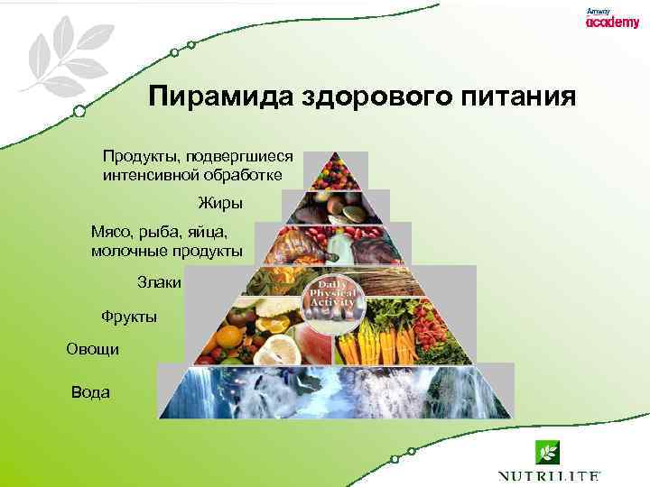 Пирамида здорового питания Продукты, подвергшиеся интенсивной обработке Жиры Мясо, рыба, яйца, молочные продукты Злаки