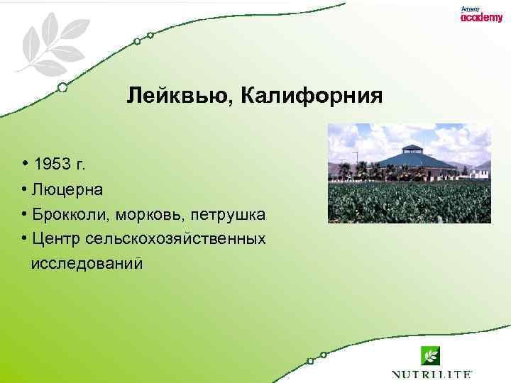 Лейквью, Калифорния • 1953 г. • Люцерна • Брокколи, морковь, петрушка • Центр сельскохозяйственных