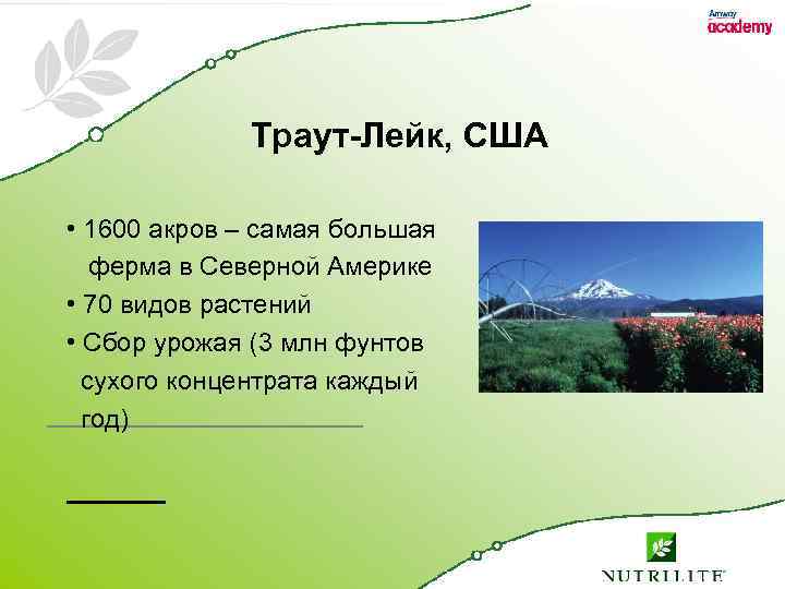 Траут-Лейк, США • 1600 акров – самая большая ферма в Северной Америке • 70