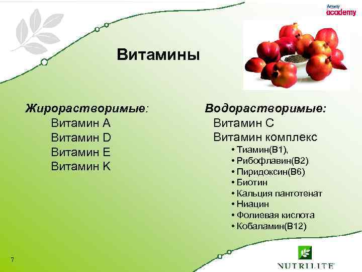 Витамины Жирорастворимые: Витамин A Витамин D Витамин E Витамин K 7 Водорастворимые: Витамин C
