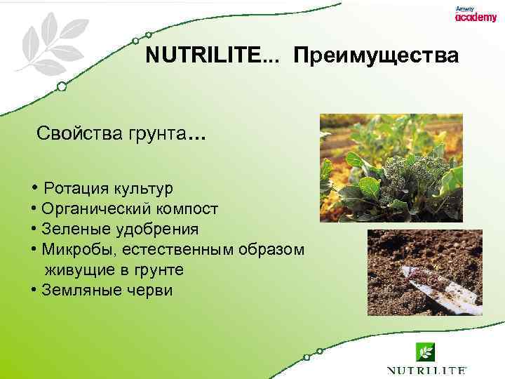 NUTRILITE. . . Преимущества Свойства грунта… • Ротация культур • Органический компост • Зеленые
