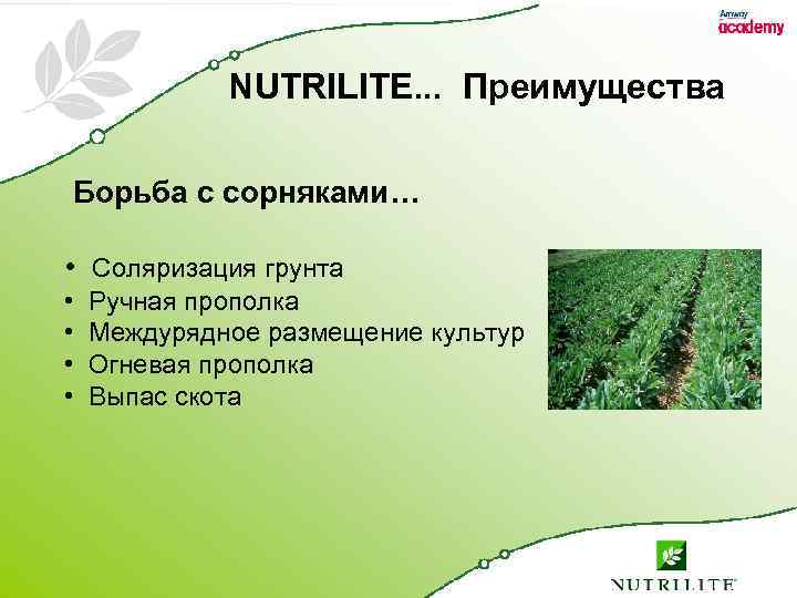 NUTRILITE. . . Преимущества Борьба с сорняками… • Соляризация грунта • Ручная прополка •