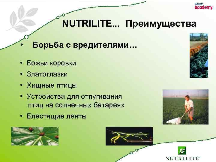 NUTRILITE. . . Преимущества • Борьба с вредителями… • Божьи коровки • Златоглазки •