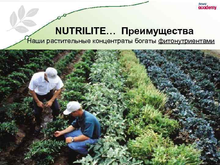 NUTRILITE… Преимущества Наши растительные концентраты богаты фитонутриентами 