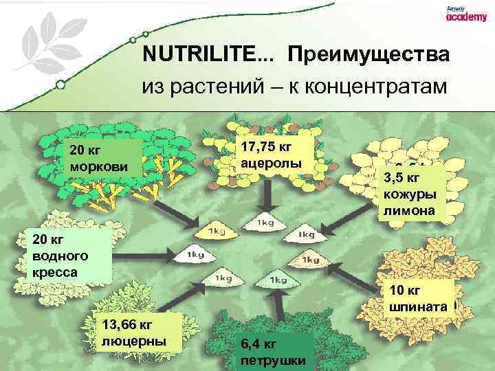 NUTRILITE. . . Преимущества из растений – к концентратам 20 кг моркови 17, 75