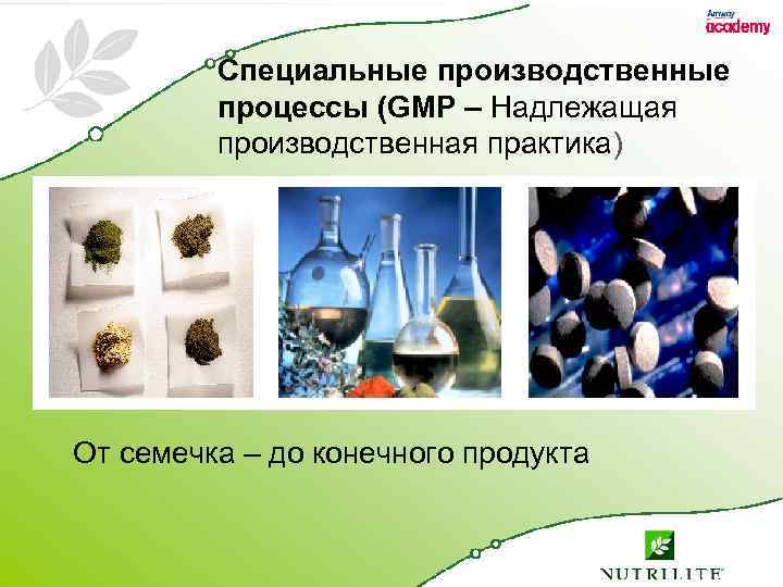 Специальные производственные процессы (GMP – Надлежащая производственная практика) От семечка – до конечного продукта