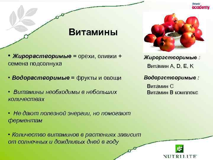 Витамины • Жирорастворимые = орехи, оливки + семена подсолнуха • Водорастворимые = фрукты и