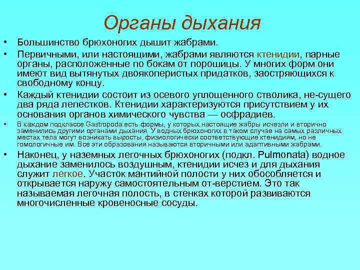 Органы дыхания • Большинство брюхоногих дышит жабрами. • Первичными, или настоящими, жабрами являются ктенидии,