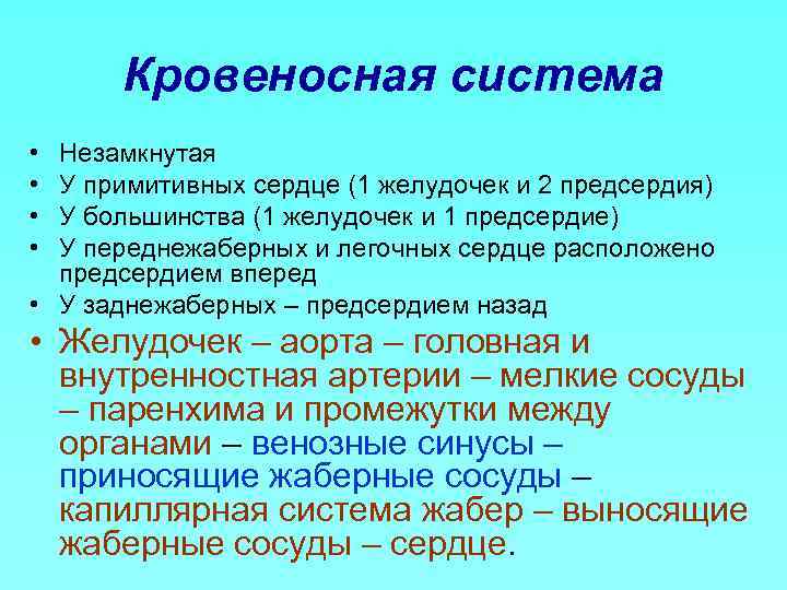 Кровеносная система • • Незамкнутая У примитивных сердце (1 желудочек и 2 предсердия) У