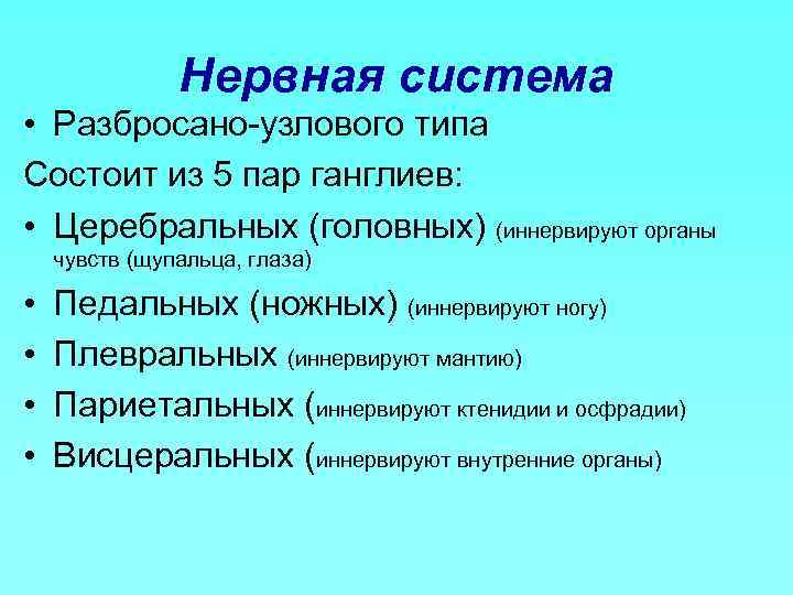 Нервная система • Разбросано узлового типа Состоит из 5 пар ганглиев: • Церебральных (головных)