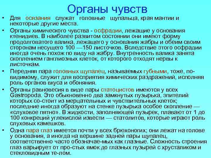 Органы чувств • Для осязания служат головные щупальца, края мантии и некоторые другие места.