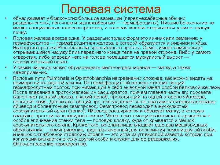  • • Половая система обнаруживает у брюхоногих большие вариации (переднежаберные обычно раздельнополы, легочные