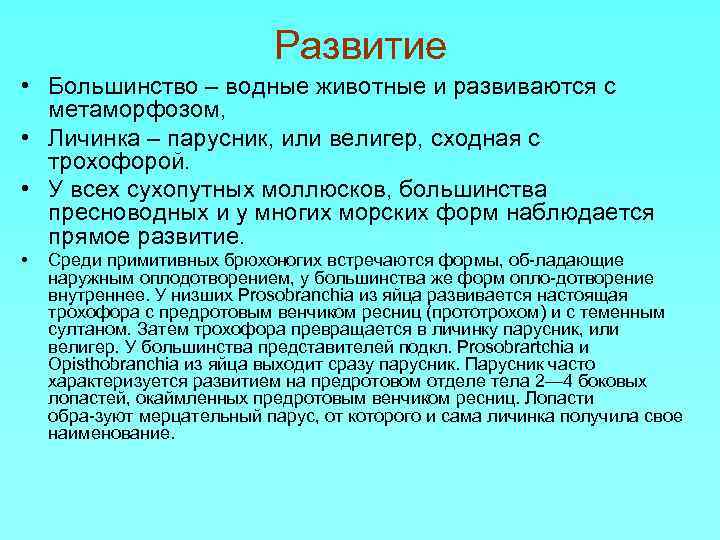 Развитие • Большинство – водные животные и развиваются с метаморфозом, • Личинка – парусник,