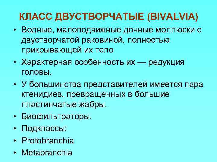 КЛАСС ДВУСТВОРЧАТЫЕ (BIVALVIA) • Водные, малоподвижные донные моллюски с двустворчатой раковиной, полностью прикрывающей их