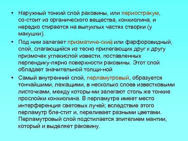  • Наружный тонкий слой раковины, или периостракум, со стоит из органического вещества, конхиолина,