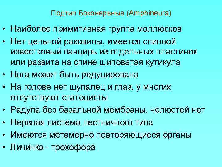 Подтип Боконервные (Amphineura) • Наиболее примитивная группа моллюсков • Нет цельной раковины, имеется спинной