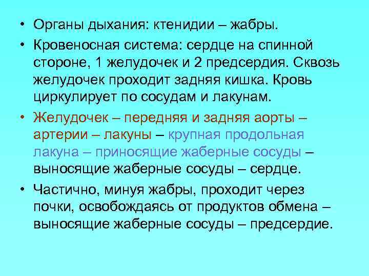  • Органы дыхания: ктенидии – жабры. • Кровеносная система: сердце на спинной стороне,