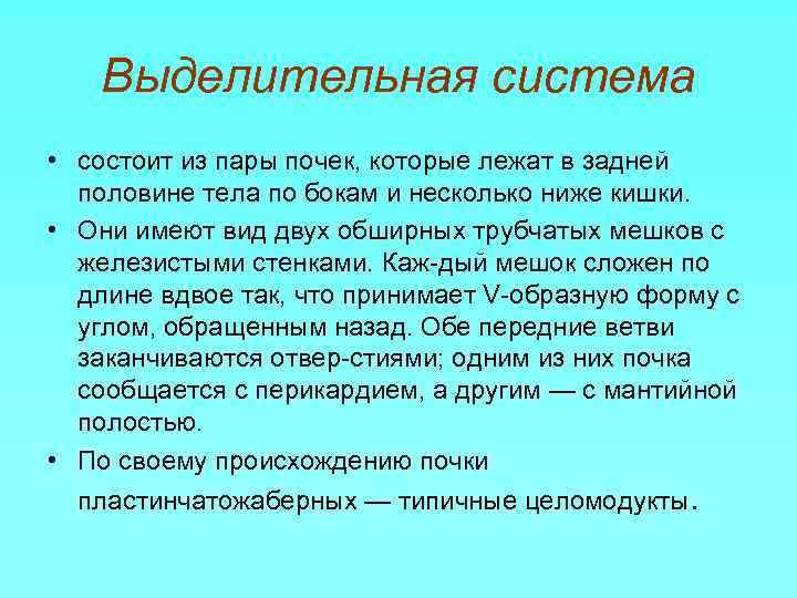 Выделительная система • состоит из пары почек, которые лежат в задней половине тела по