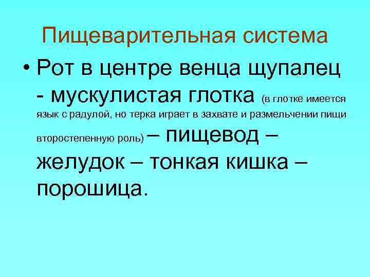 Пищеварительная система • Рот в центре венца щупалец мускулистая глотка (в глотке имеется язык