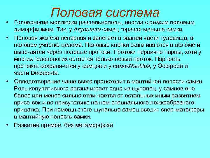 Половая система • Головоногие моллюски раздельнополы, иногда с резким половым диморфизмом. Так, у Argonauta