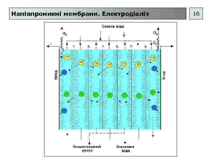 Напівпроникні мембрани. Електродіаліз 16 