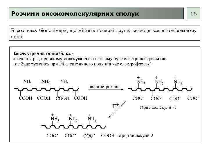 Розчини високомолекулярних сполук 16 В розчинах біополімери, що містять полярні групи, знаходяться в йонізованому