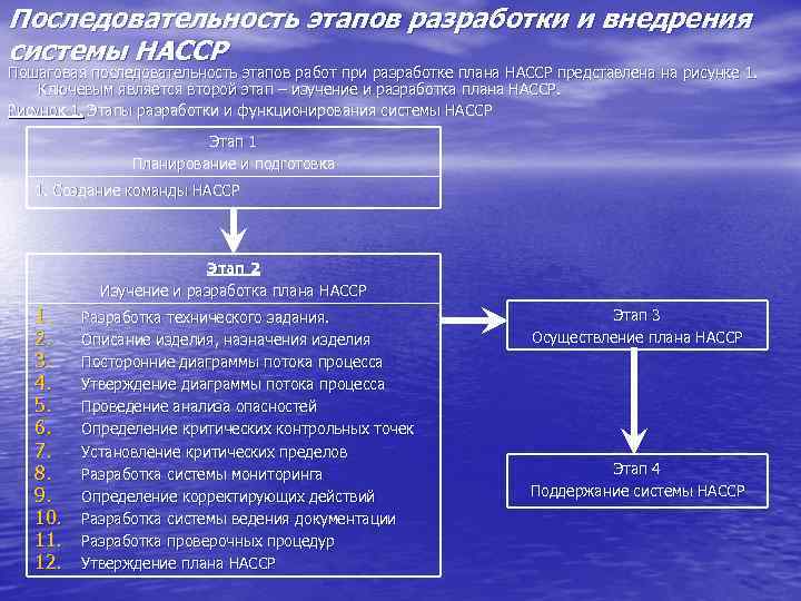 Последовательность этапов разработки и внедрения системы НАССР Пошаговая последовательность этапов работ при разработке плана